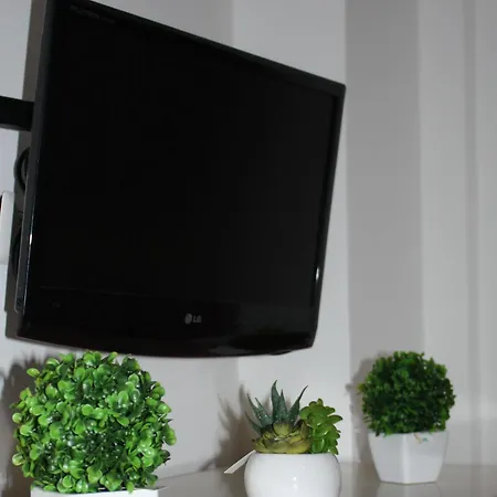 Domus 2*