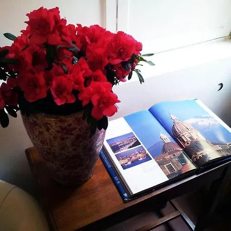 New Paradise 3* Rome