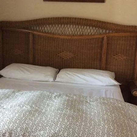 Hotel Grand Colony 3*