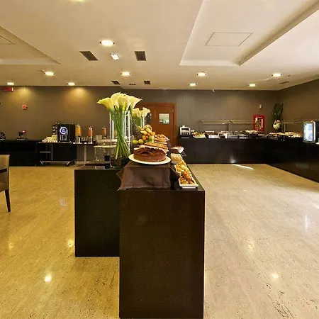 酒店 欧洲之星罗马亚特尔纳酒店 4*