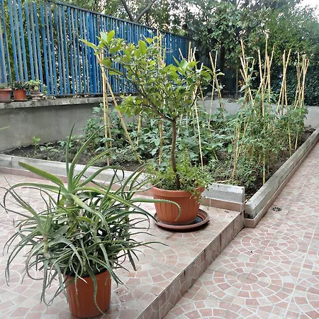 Lunablu Bed & Breakfast 3*