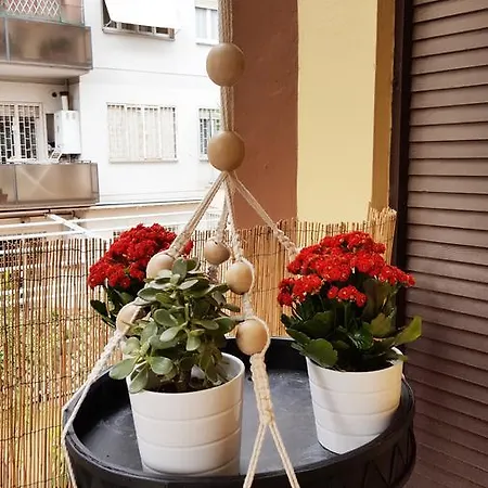 Guest house Domus