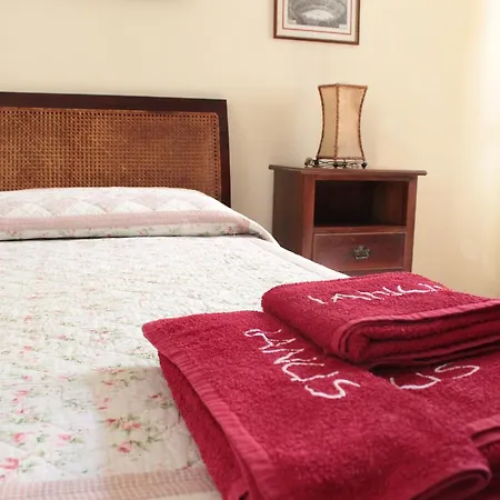 Guest house Ianus 3*