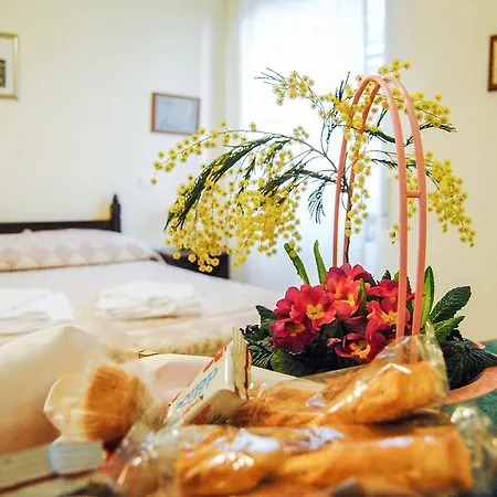 Ianus Guest house 3*