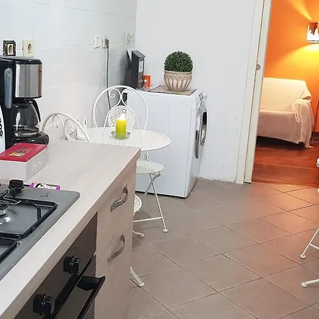Myomax Guest house