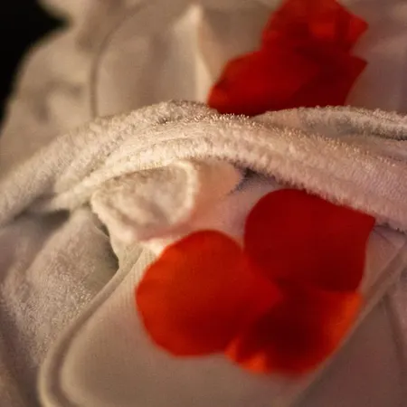 Borgofico Relais & Wellness Guest house