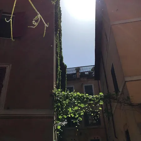 Hotel Domus Tiberina Roma