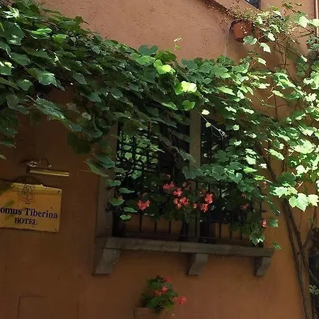 Ξενοδοχείο Domus Tiberina 2*