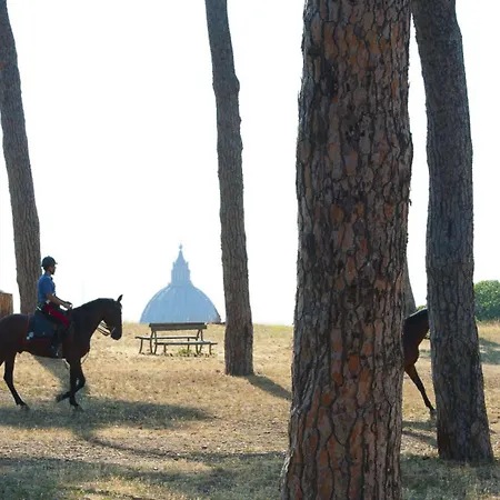 Pinewood