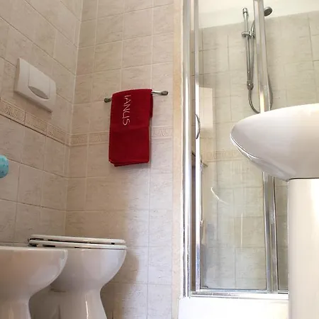 Guest house Ianus 3*