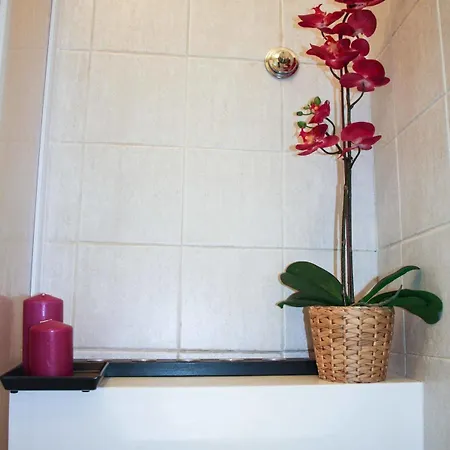 Salotto Vaticano Bed & Breakfast