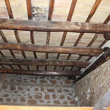 Guest house Domus Rome