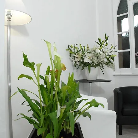 Gardenia Roma