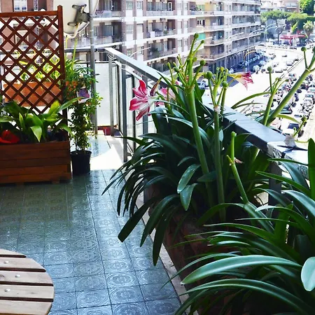 Bed & Breakfast Vatican Eden 3*