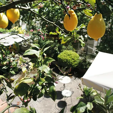 Il Boom Bed & Breakfast 2*