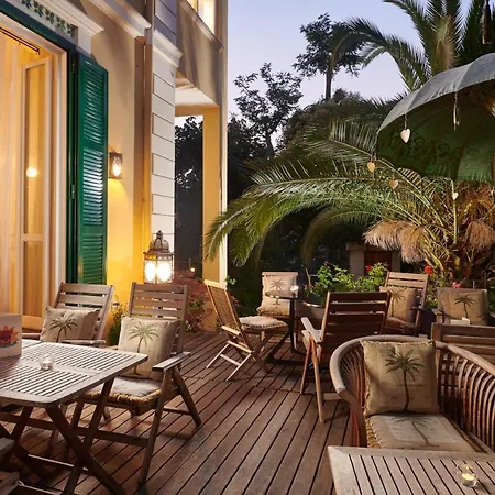 Palm Gallery Hotel 3*