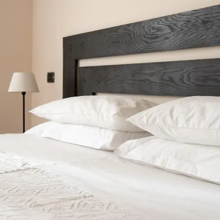 Hotel Palm Gallery Roma