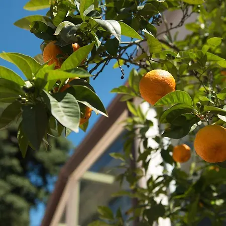 Degli Aranci Отель
