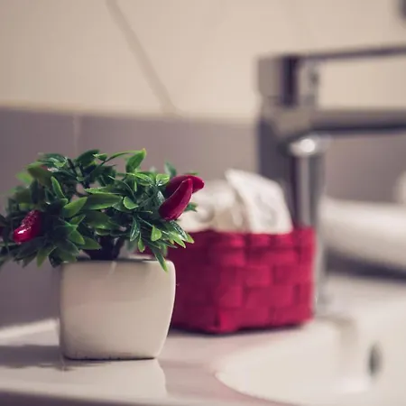 San Francesco A Ripa Apartment Rome
