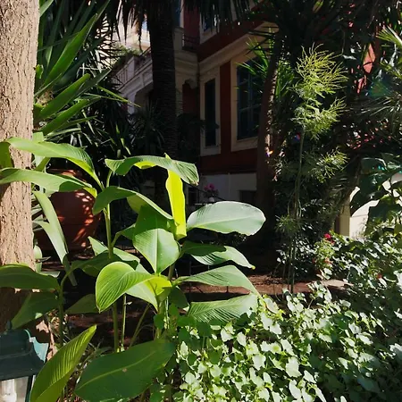 伊尔坦皮奥二莫菲奥旅馆 4*