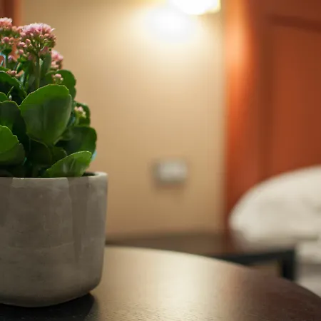 My Trevi Guest house 3*