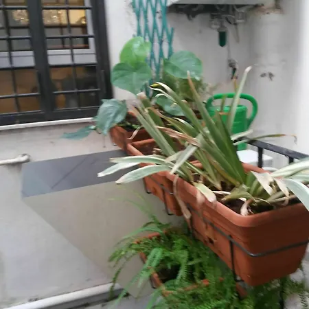 Apartment Campofiori *