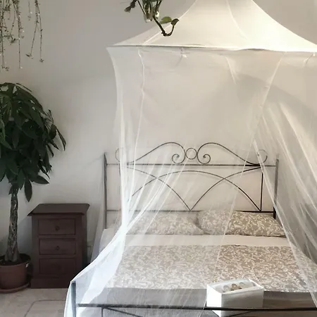 Tempus Albergue