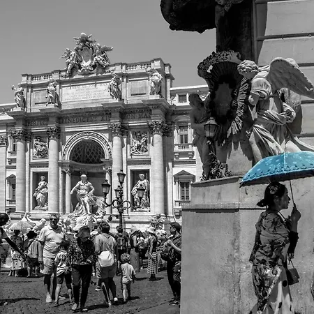 My Trevi 3*