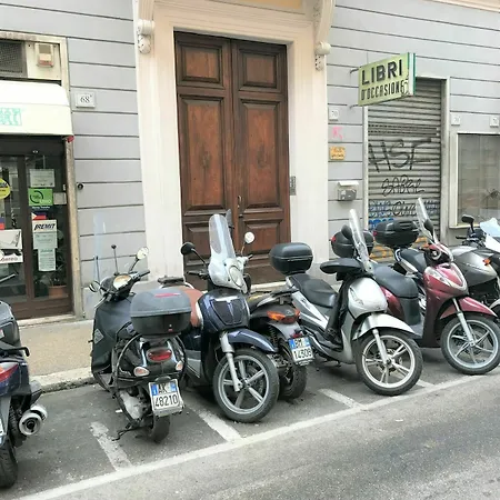 Paradisio