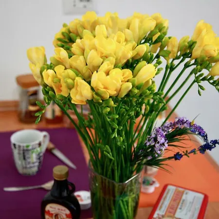 Holiday home Casa Marrucini Rome