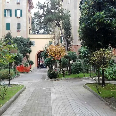 Flaminio *