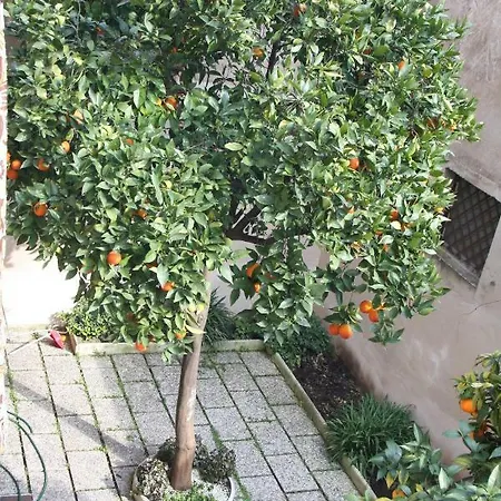 Apartment Wellnessinnrome Shortlet *
