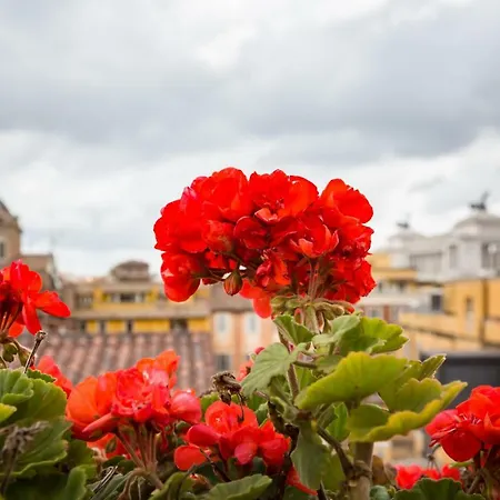 Ginnasi Palace Penthouse Rome
