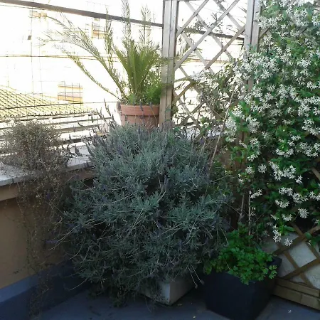 Chiara Apartment Rome