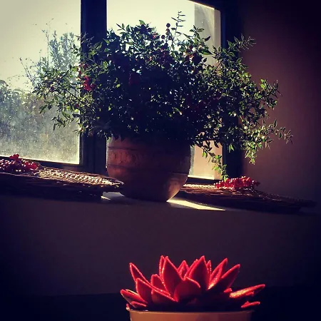 Casale Appio