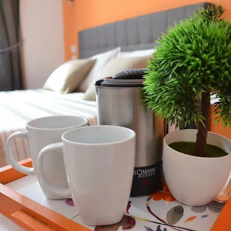 Fidelis Guest house 2*