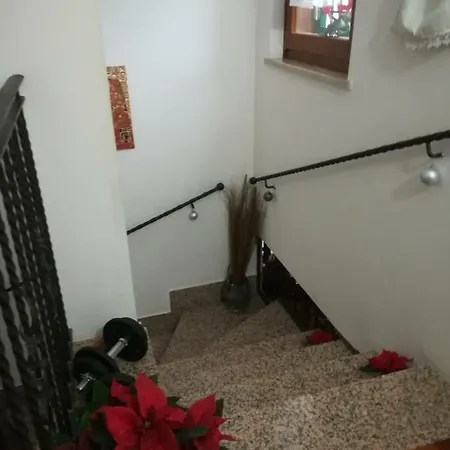 Curti Homestay *