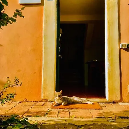 Casale Appio Guest house