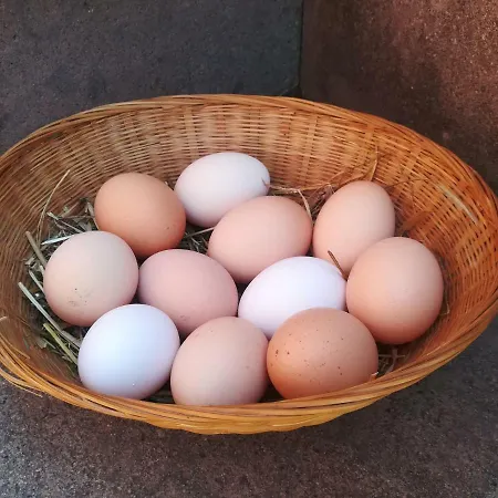 Il Baffetto Frühstückspension Rom
