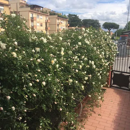 Il Villino Verde Roma