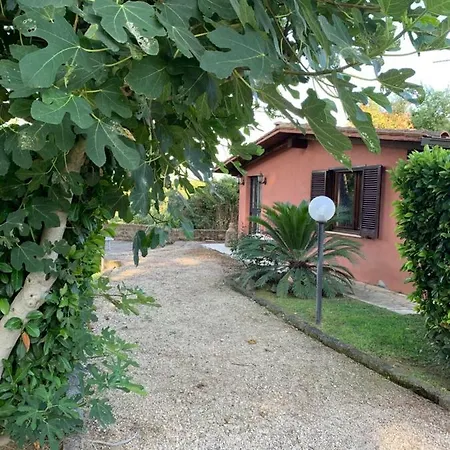 La Casa Di Irene Nel Golf Club * Rome