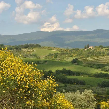 Lavanda E Rosmarino Frühstückspension