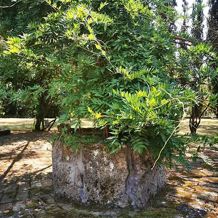Holiday home Isola Farnese Parco Di Veio