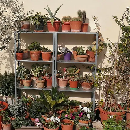 Casa Di Ele Guest house *