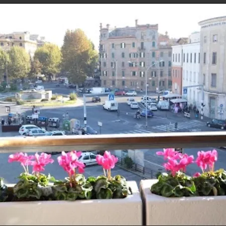 Fiore Vaticano Rome
