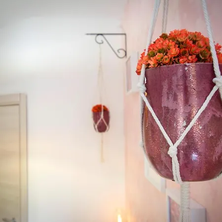 Bed & Breakfast Piccolo Boutique